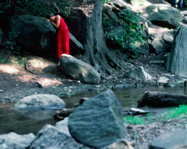 The Teenager in Magenta stands depressed on the bank of the stream, performance Rivers First Draft by Lorraine O’Grady.