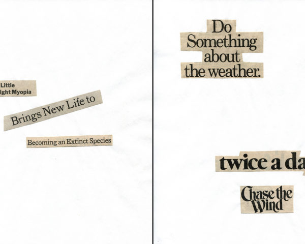 Haiku Diptych 7. Studio sketch. Two panels selected from Cutting Out the New York Times (CONYT), 1977, as model for new diptych in Cutting Out CONYT, 1977/2017. Original newsprint cut-outs collaged on rag bond paper by conceptual artist Lorraine O’Grady.