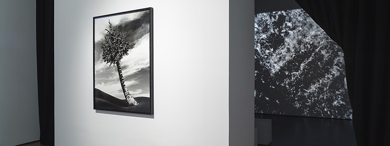 Alexander Gray Associates, 2012