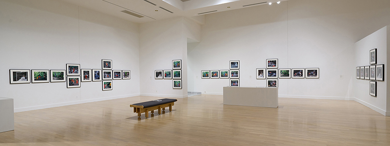 Weatherspoon Art Museum, 2022